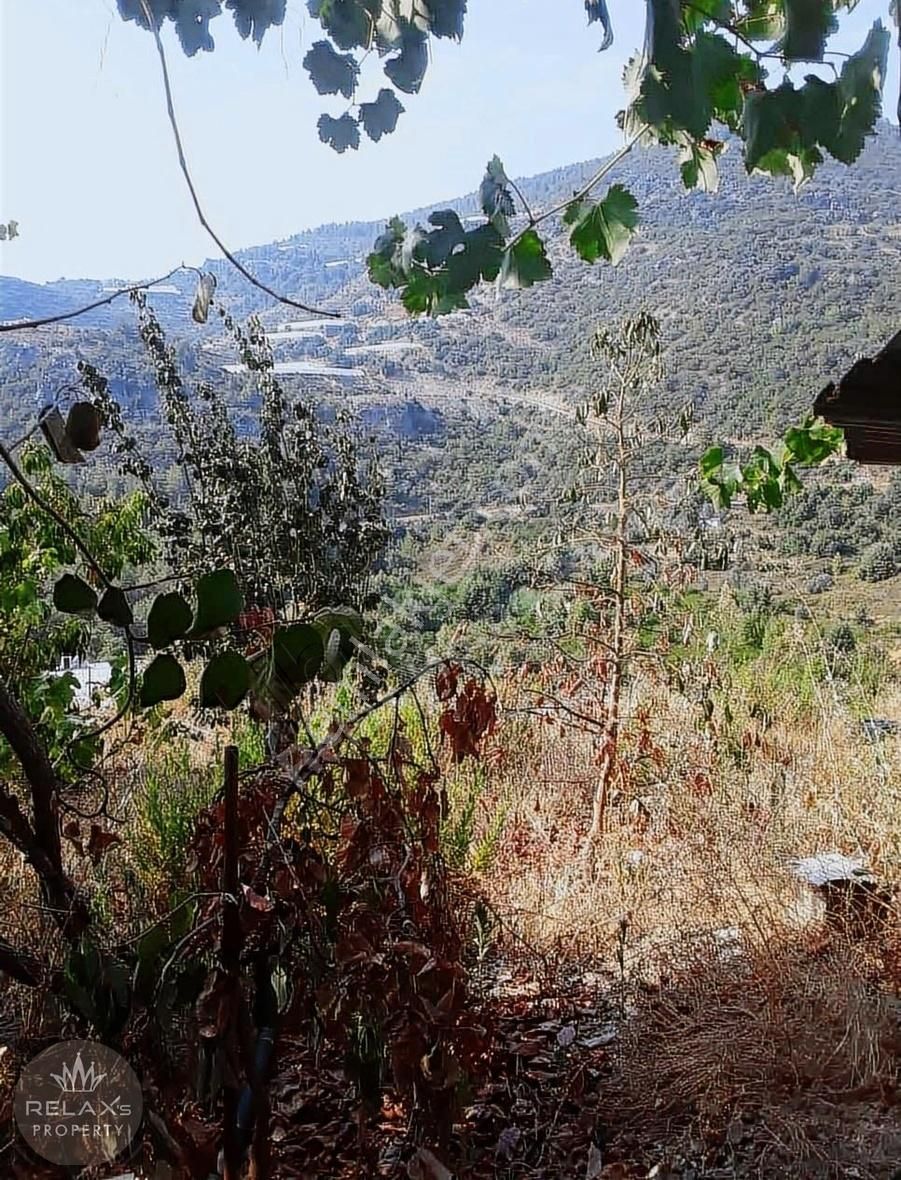 Alanya Yeniköy Satılık Tarla Yeniköy de satılık 4800 m2 içinde evi olan arazi