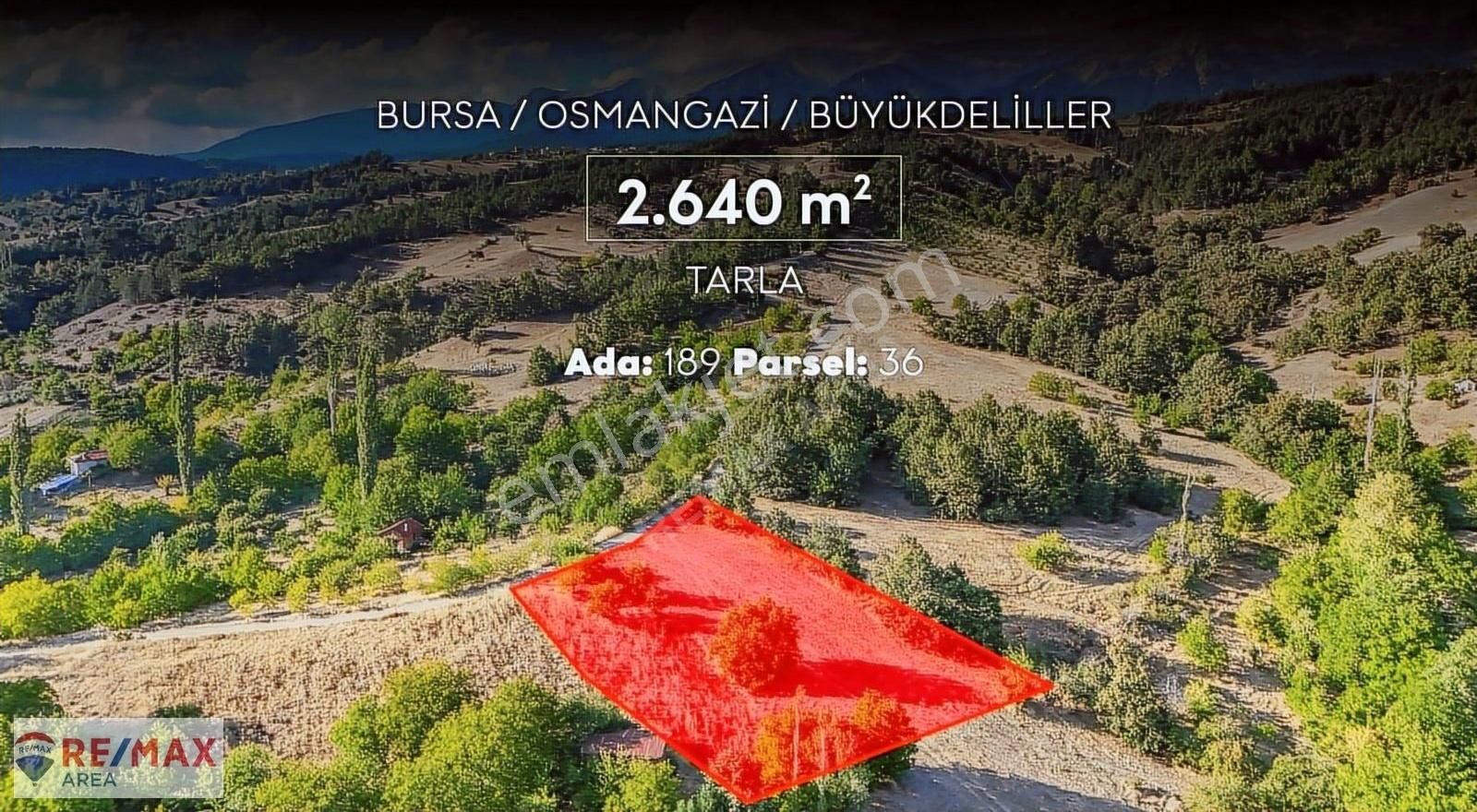 Osmangazi Büyükdeliller Satılık Tarla Remax Area'dan Büyükdeliller Köyünde Yola Cephe Fırsat Arazi