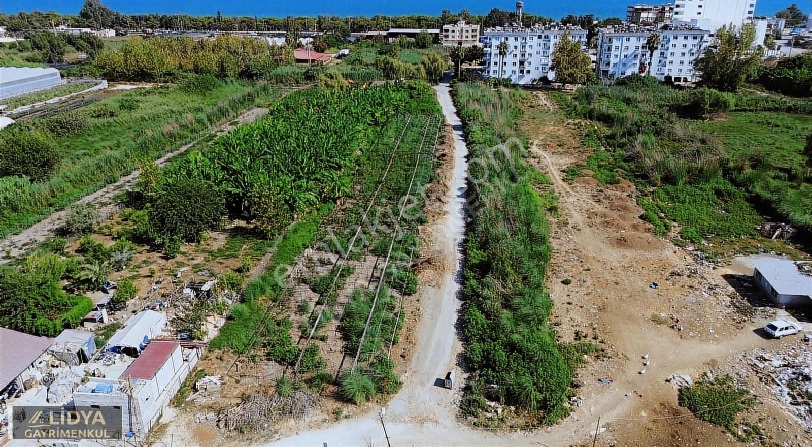 2000 M2 Tarla İmar Yakın Depo Dükkan Yeri Koyuncu Erdemli Mersin - Görsel 16