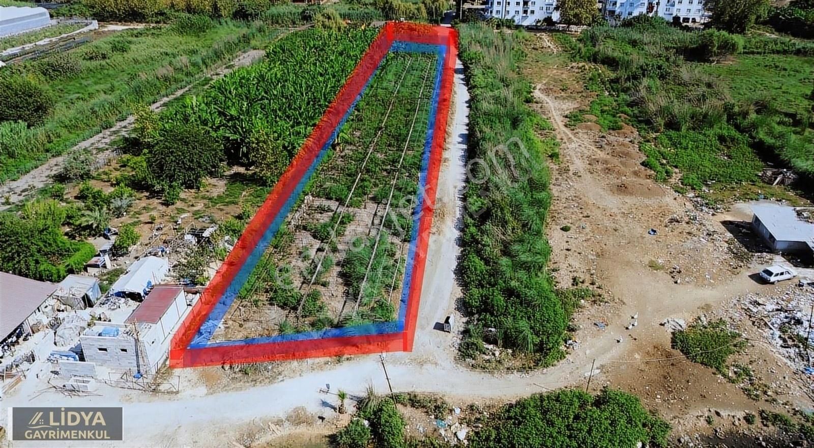 2000 M2 Tarla İmar Yakın Depo Dükkan Yeri Koyuncu Erdemli Mersin - Görsel 9