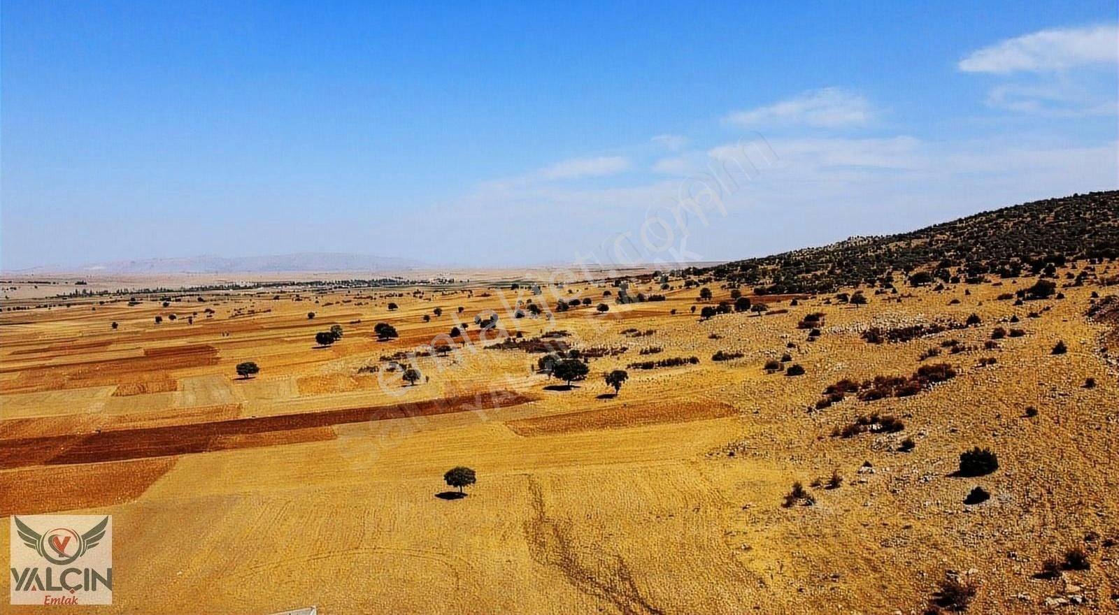 Akören Hacılar Satılık Tarla Akören Hacılarda Satılık Tarlamız