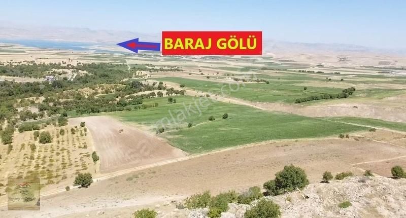 Elazığ Merkez Dallıca Köyü Satılık Tarla Merkez Üngüzek Köyünde Yolu Elektriği Olan Arazi