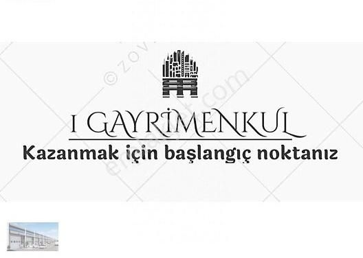 Bilecik Merkez Gülümbe Köyü (Hürriyet) Satılık Tarla BİLECİK GÜLÜMBEDE YOL-ELEKTRİK PROBLEMİ OLMAYAN 1050 M² ARAZİ