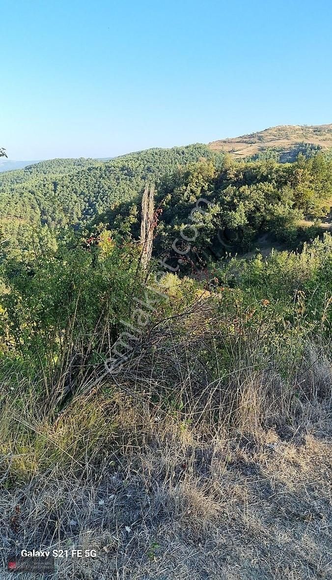 Geyve Melekşeoruç Satılık Konut İmarlı KAZANÇLI TOPRAKTAN MELEKŞE ORUÇTA MANZARASI MÜKEMMEL ARSA