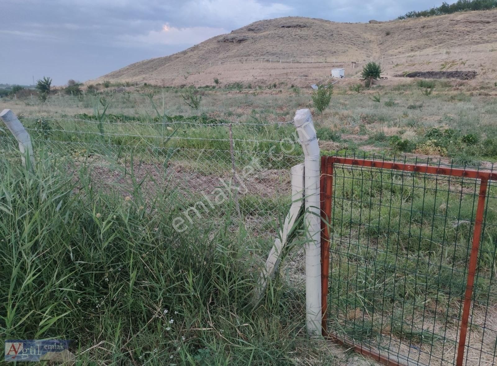 Yeşilyurt Göktarla Satılık Bağ & Bahçe Aygül Emlaktan Sütlüce Göktarla,da Satılık 11400 M2 Sulu Bahçe