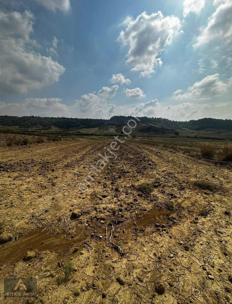 Sarıçam Kızılkaş Satılık Tarla HATİCE AKSUDAN KIZILKAŞTA TEK TAPU TARLA