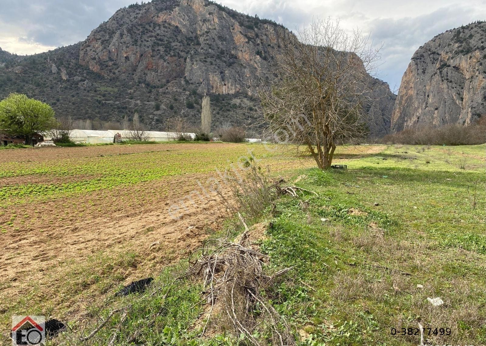 Söğüt Tuzaklı Köyü Satılık Tarla Bilecik Söğüt Tuzaklı Köyünde Satılık Tarla