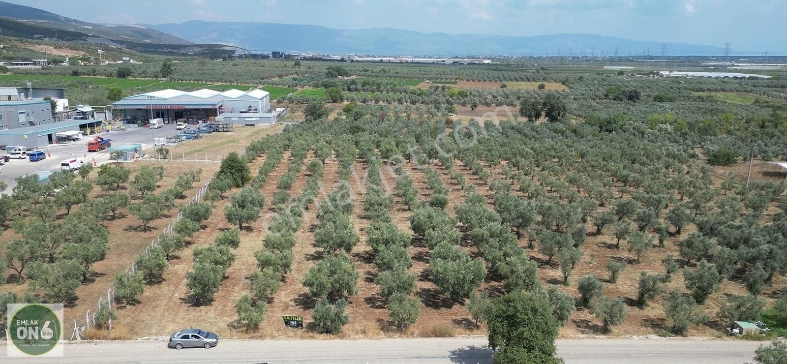 Bursa Orhangazi Gedelekköyü Fabrika Yanı Satılık Tarla - Görsel 6