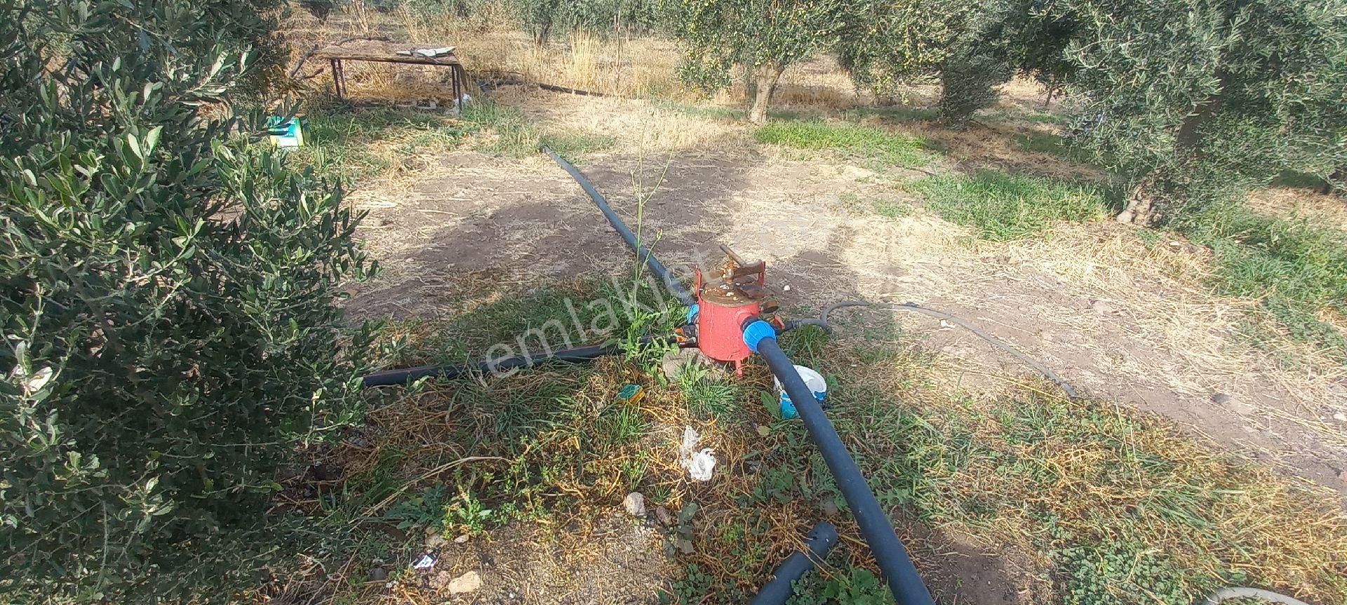 Satılık Müstakiltapu - Görsel 24