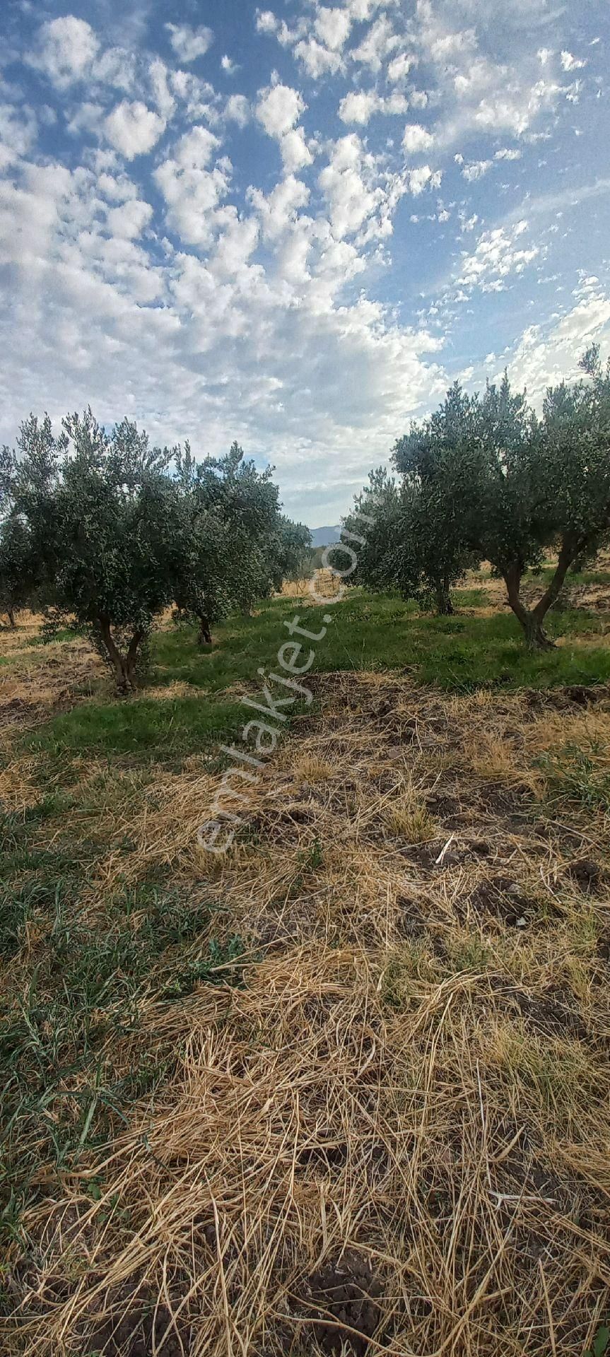 Satılık Müstakiltapu - Görsel 18