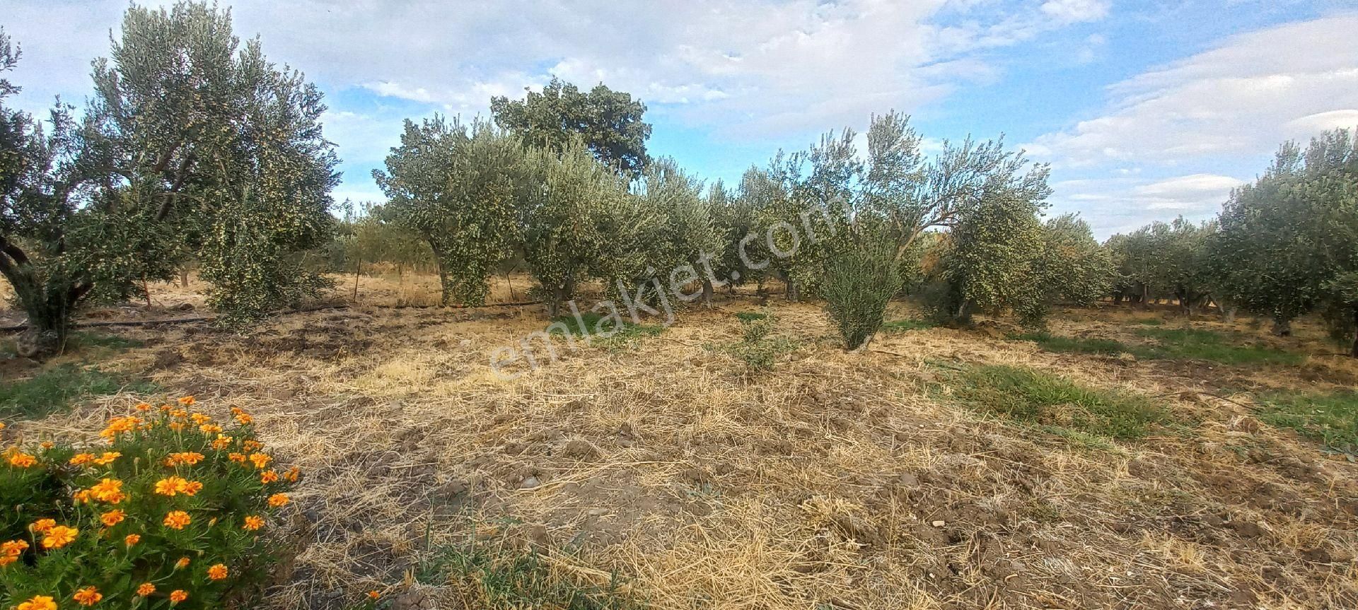 Satılık Müstakiltapu - Görsel 8