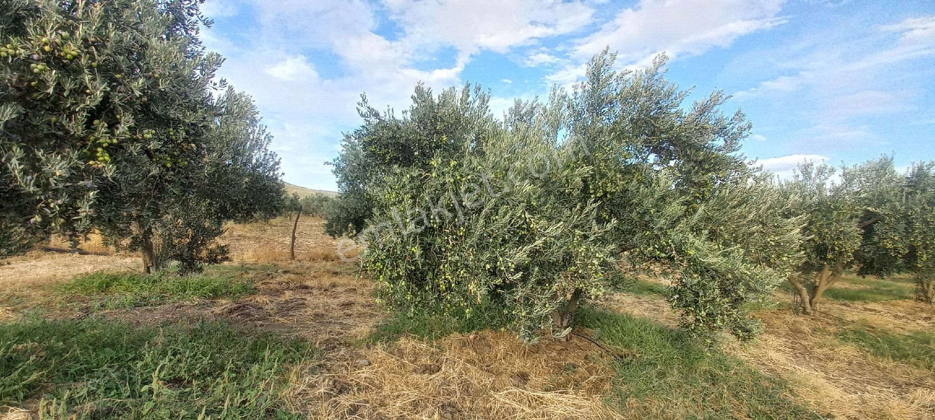 Satılık Müstakiltapu - Görsel 29