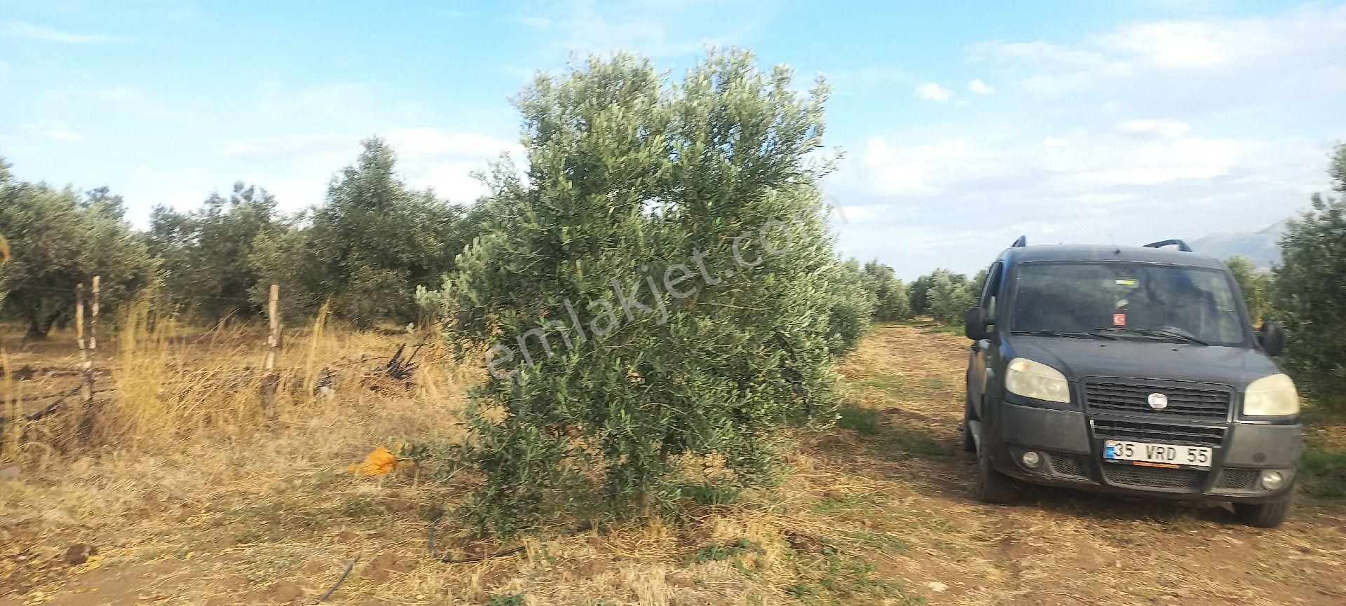 Satılık Müstakiltapu - Görsel 26