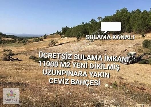 Pamukkale Uzunpınar Satılık Bağ & Bahçe ACİL SATILIK PAMUKKALE UZUNPINARDA SULANABİLİR CEVİZ BAHÇESİ