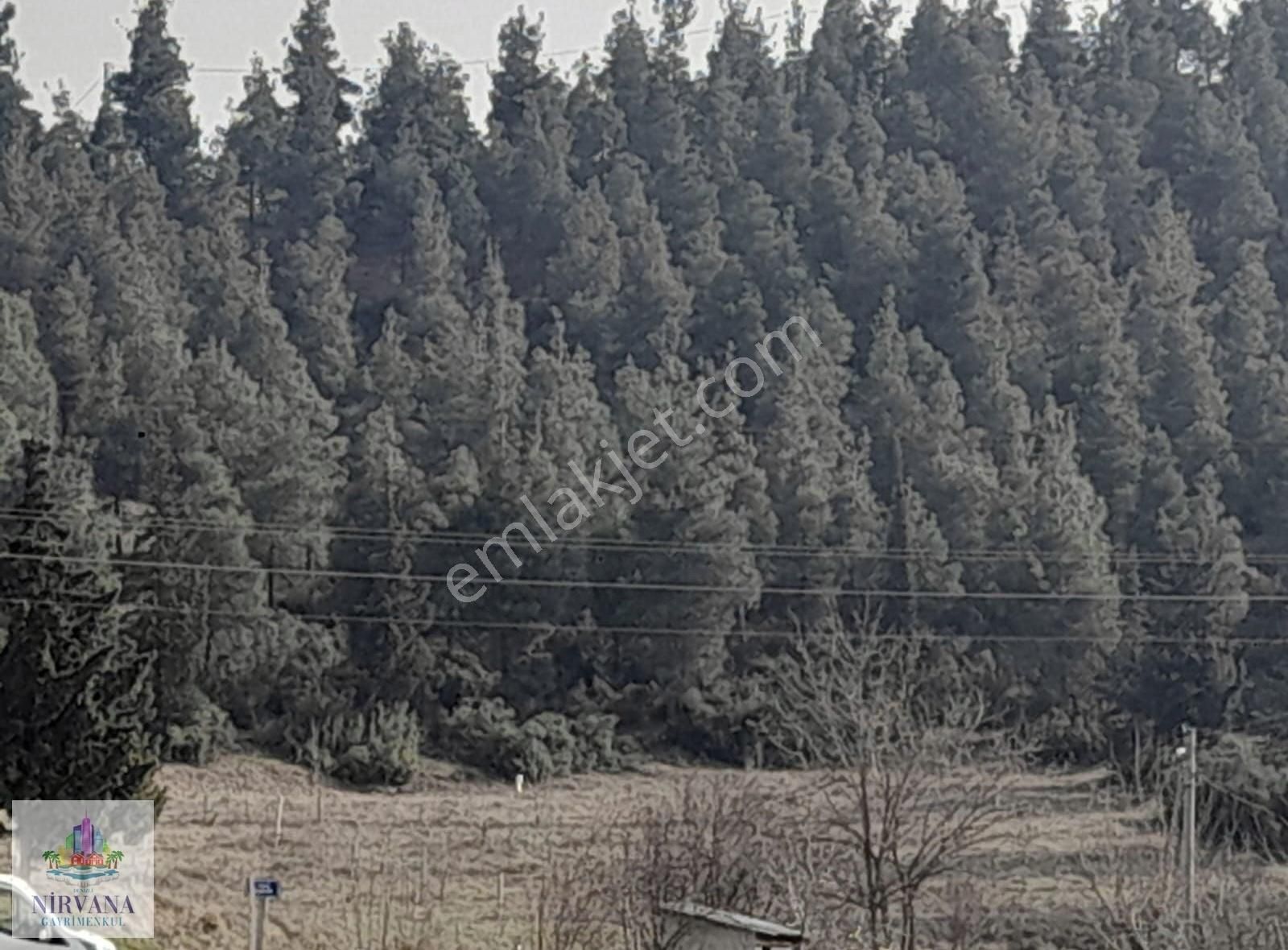 Honaz Kaklık Satılık Konut İmarlı HONAZ KAKLIKTA ANAYOLA YAKIN ARSA