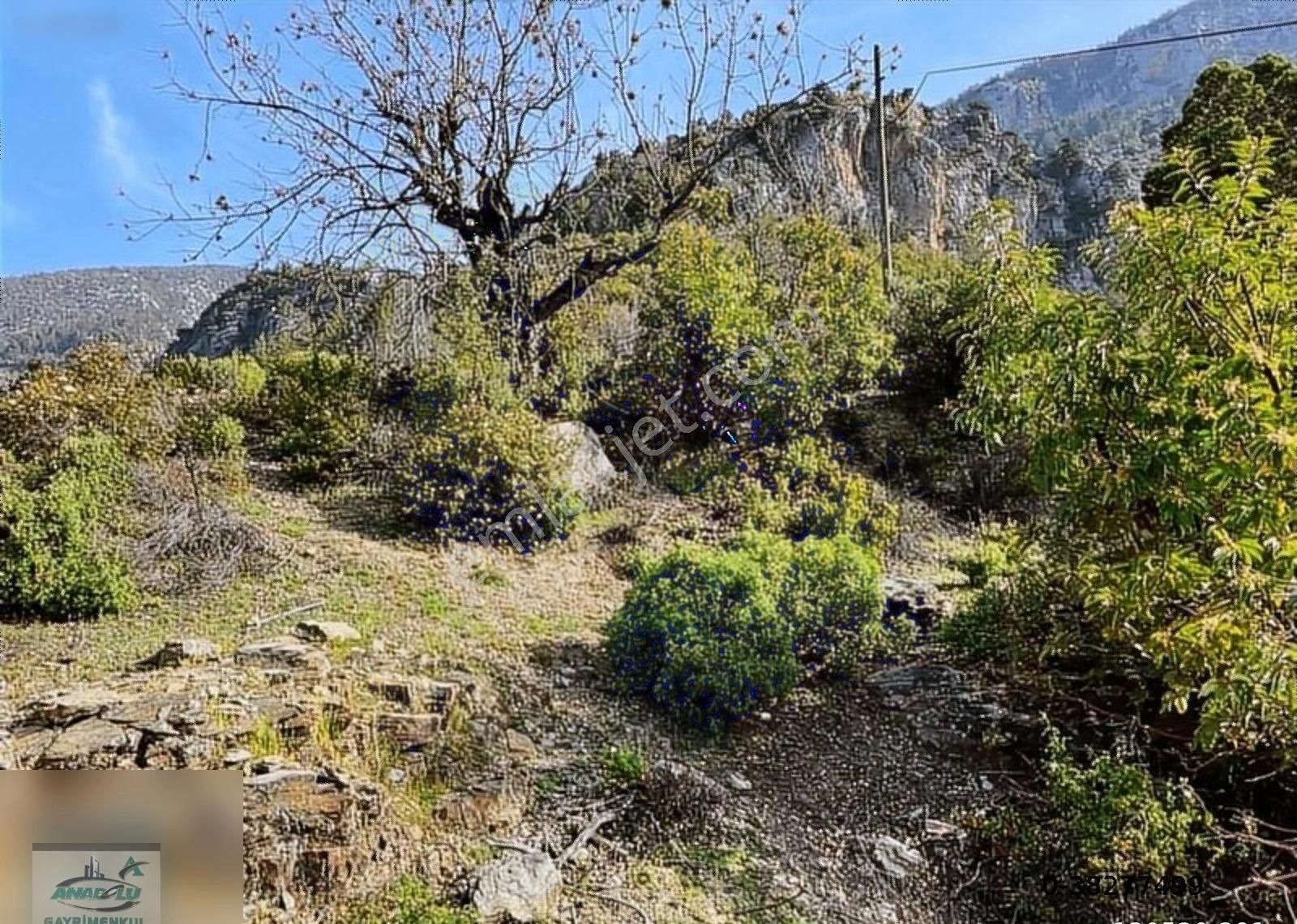 Alanya Taşbaşı Satılık Tarla ANTALYA ALANYA TAŞBAŞI MAHALLESİ'NDE ASFALTA YAKIN ÇOK UYGUN YER