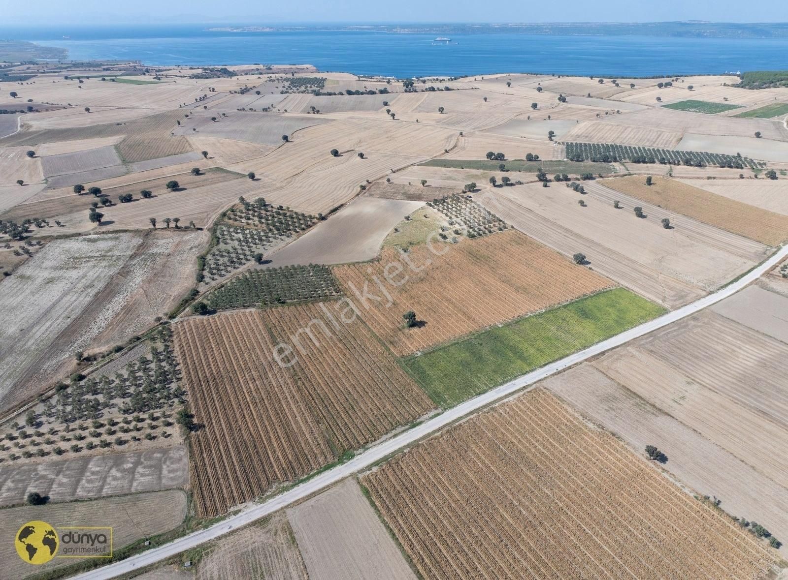 Çanakkale Merkez Halileli Köyü Satılık Tarla DÜNYA GAYRİMENKULDEN HALİLELİNDE YOLA CEHPE 45 DÖNÜM BAĞ BAHÇE