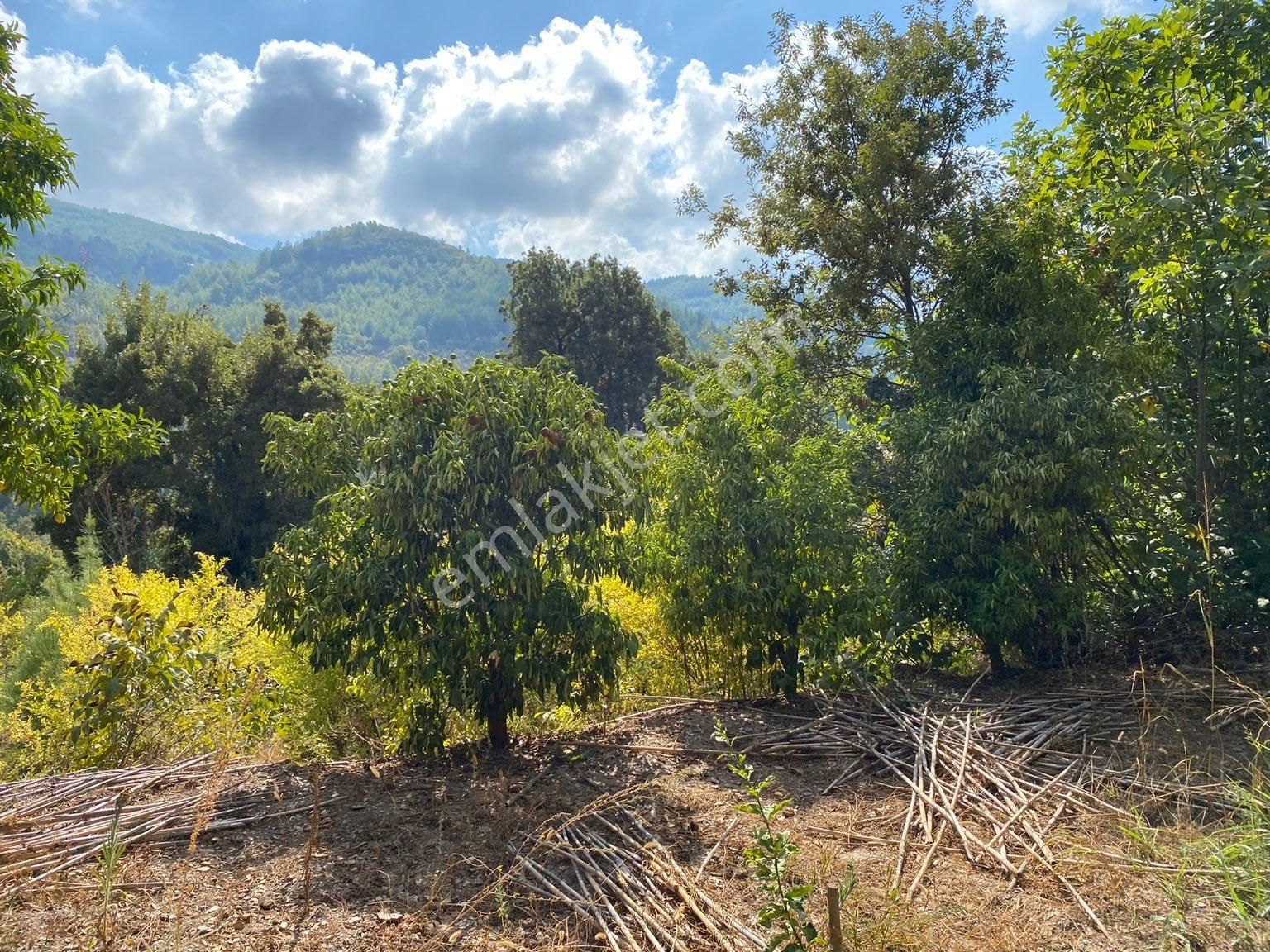 Gümüşgöze Mahallesinde 1545 M2 Satılık Tarla - Görsel 6
