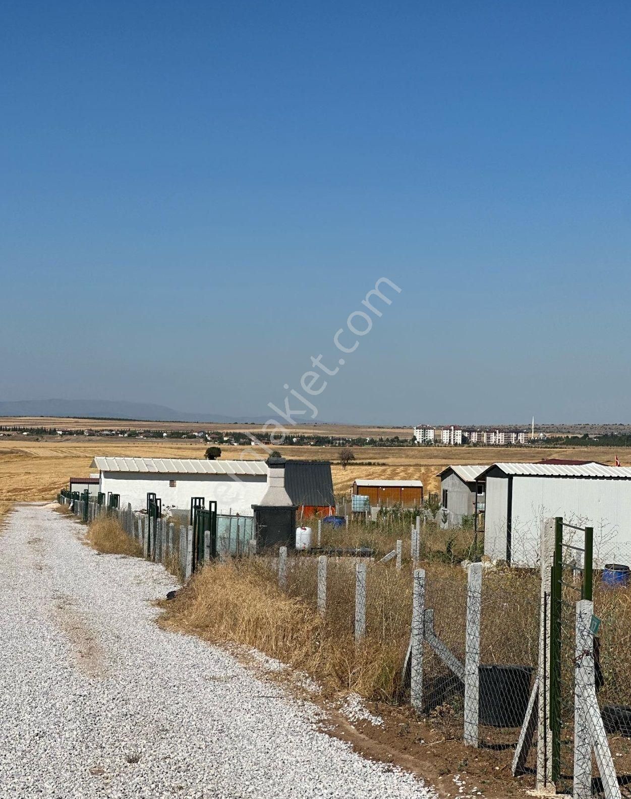 Odunpazarı Akpınar Satılık Tarla TAPULU AKPINAR SÜPREN KÖYÜ YOLUN'DA SATILIK HOBİ BAHÇESİ 