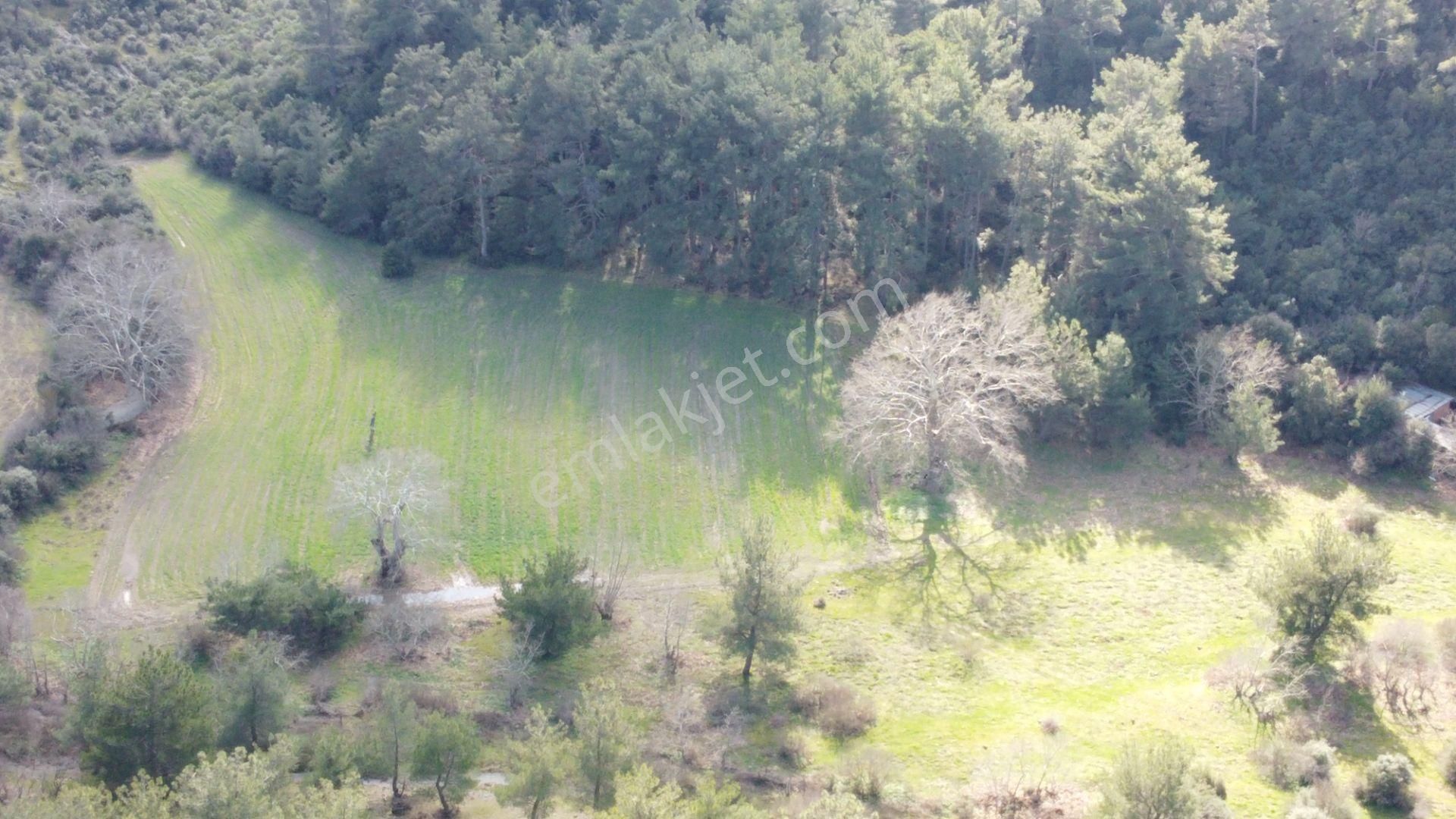Çanakkale Çan Karayolunda Sarıçay Kenarında Satılık Tarla - Görsel 10