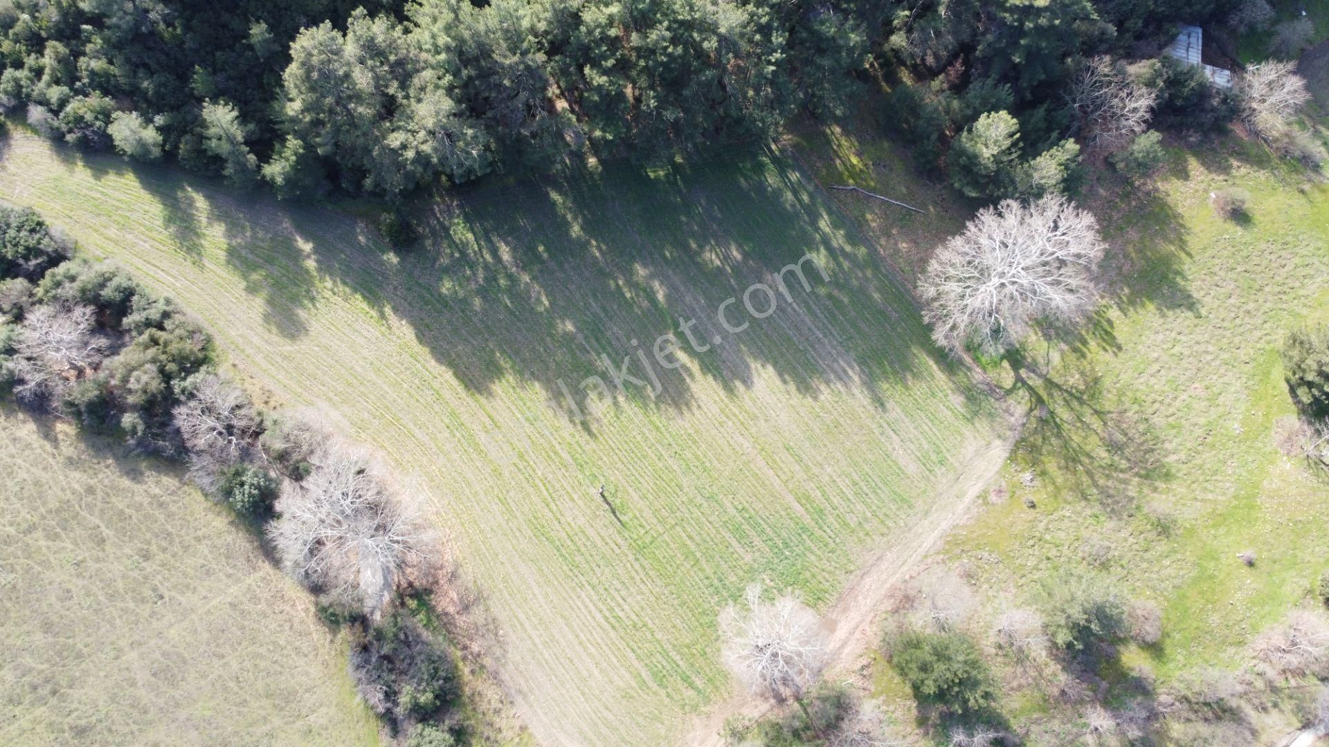 Çanakkale Çan Karayolunda Sarıçay Kenarında Satılık Tarla - Görsel 35