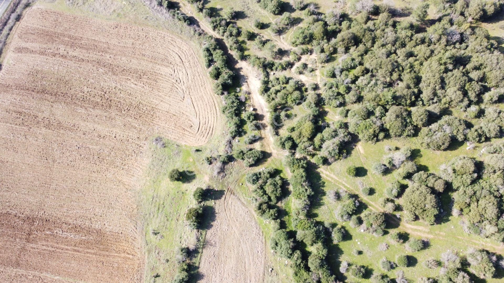 Çan Karayoluna Bir Parsel Resmi Yolu Suyu Olan Satılık Tarla - Görsel 9