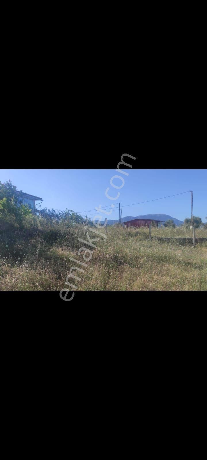 İzmir Torbalı Çakırbeylide Satılık Bahçe - Görsel 9