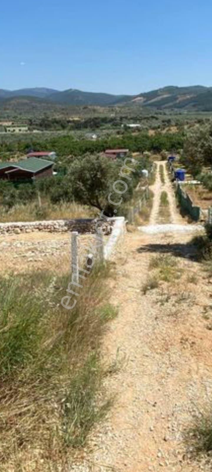 İzmir Torbalı Çakırbeylide Satılık Bahçe - Görsel 4