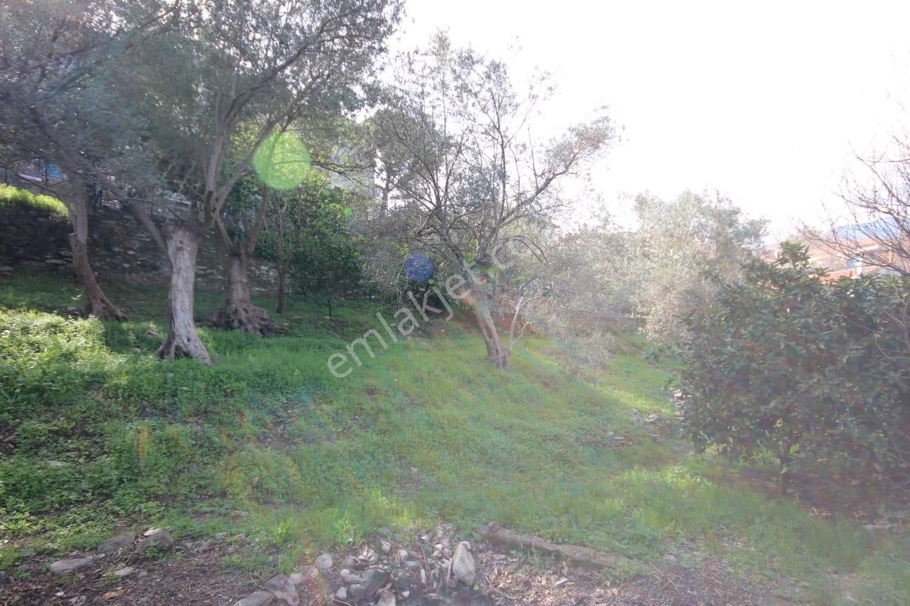 Sabri Pınarbaşı'dan Kızılkeçili'de Satılık 1400m2 Arsa İçinde Müstakil Ev - Görsel 9