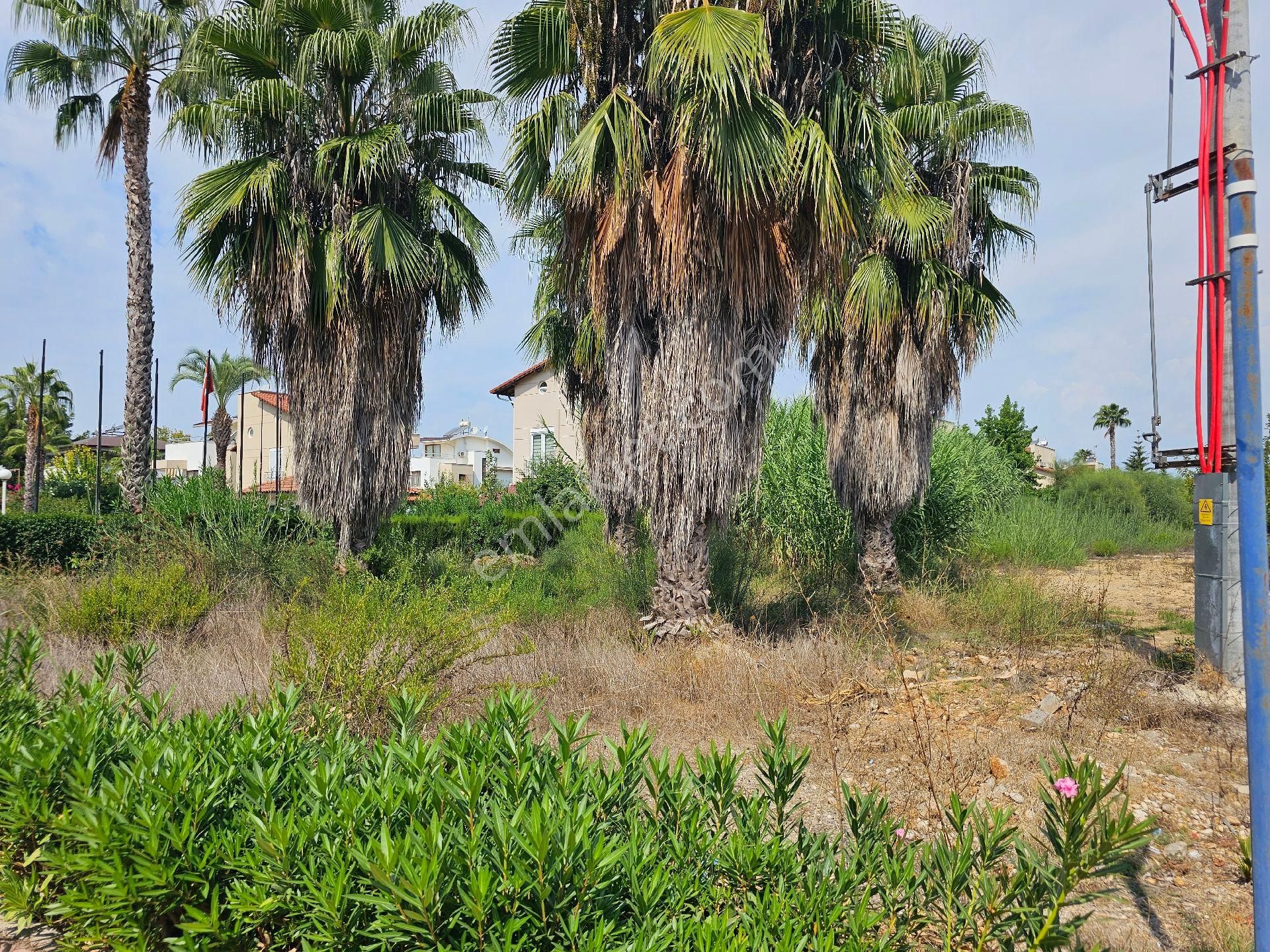 Serik Kadriye Satılık Tarla BELEK KADRİYE YOLUNA CEPHE VİLLA İÇİN ARSA 