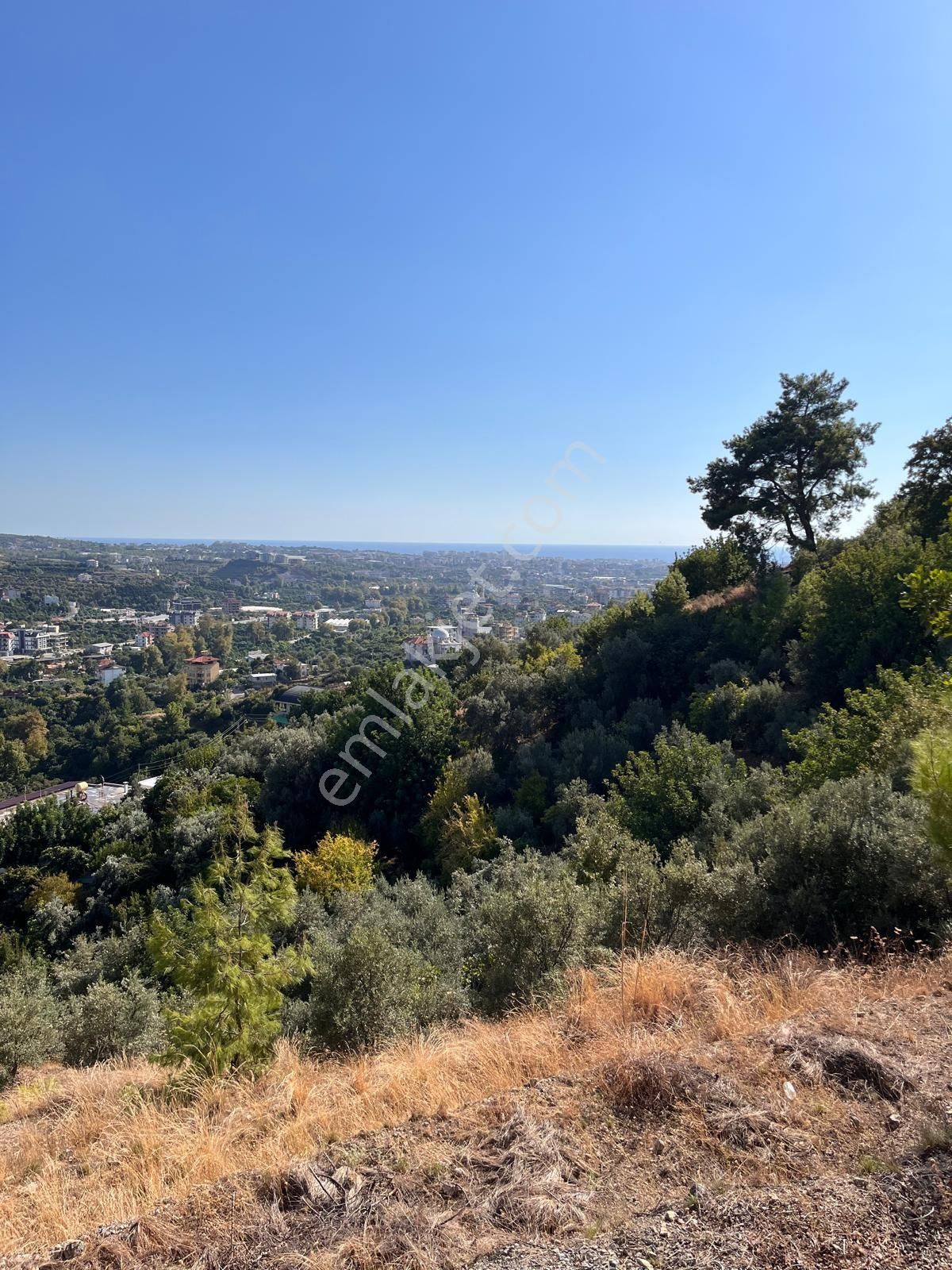 Alanya Değirmendere Satılık Tarla alanya değirmendere mah.manzaralı tarla