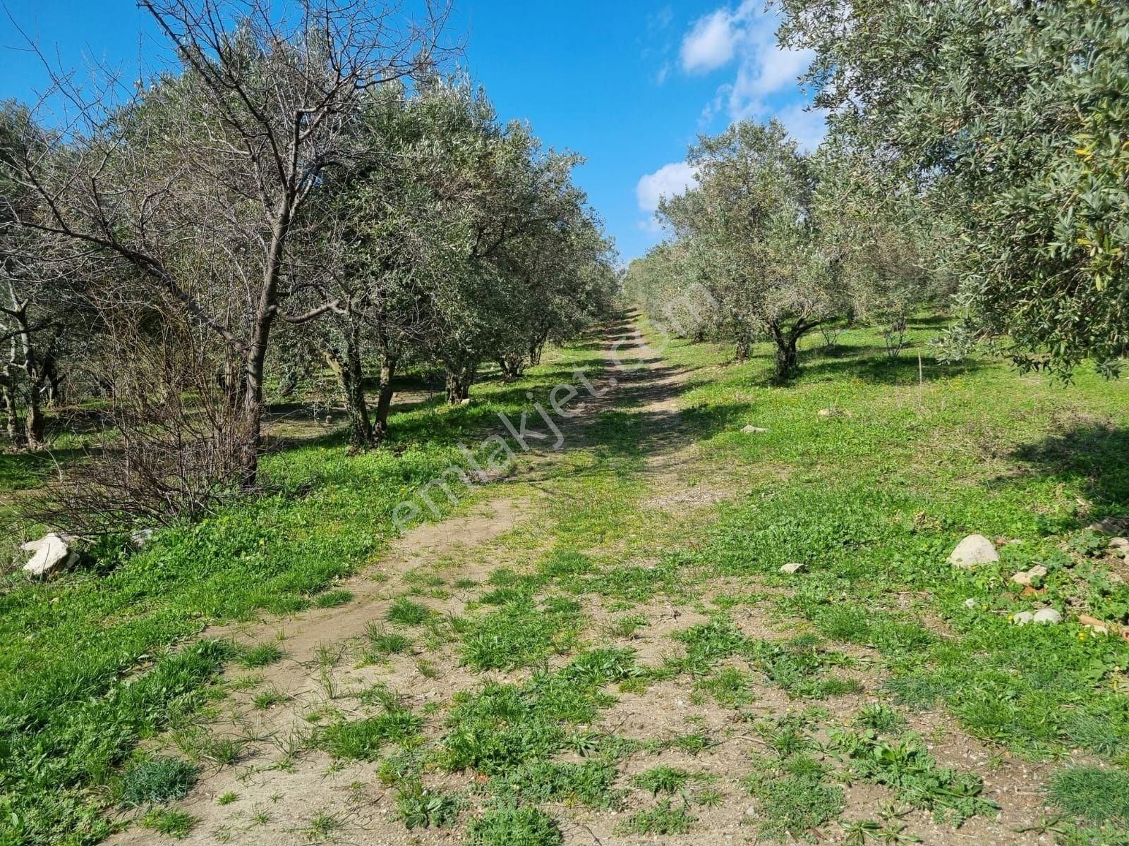 İskele Merkez Satılık Villa Kıbrıs, İskele'de Casa La Vısta 2+1 Satılık Bungalov