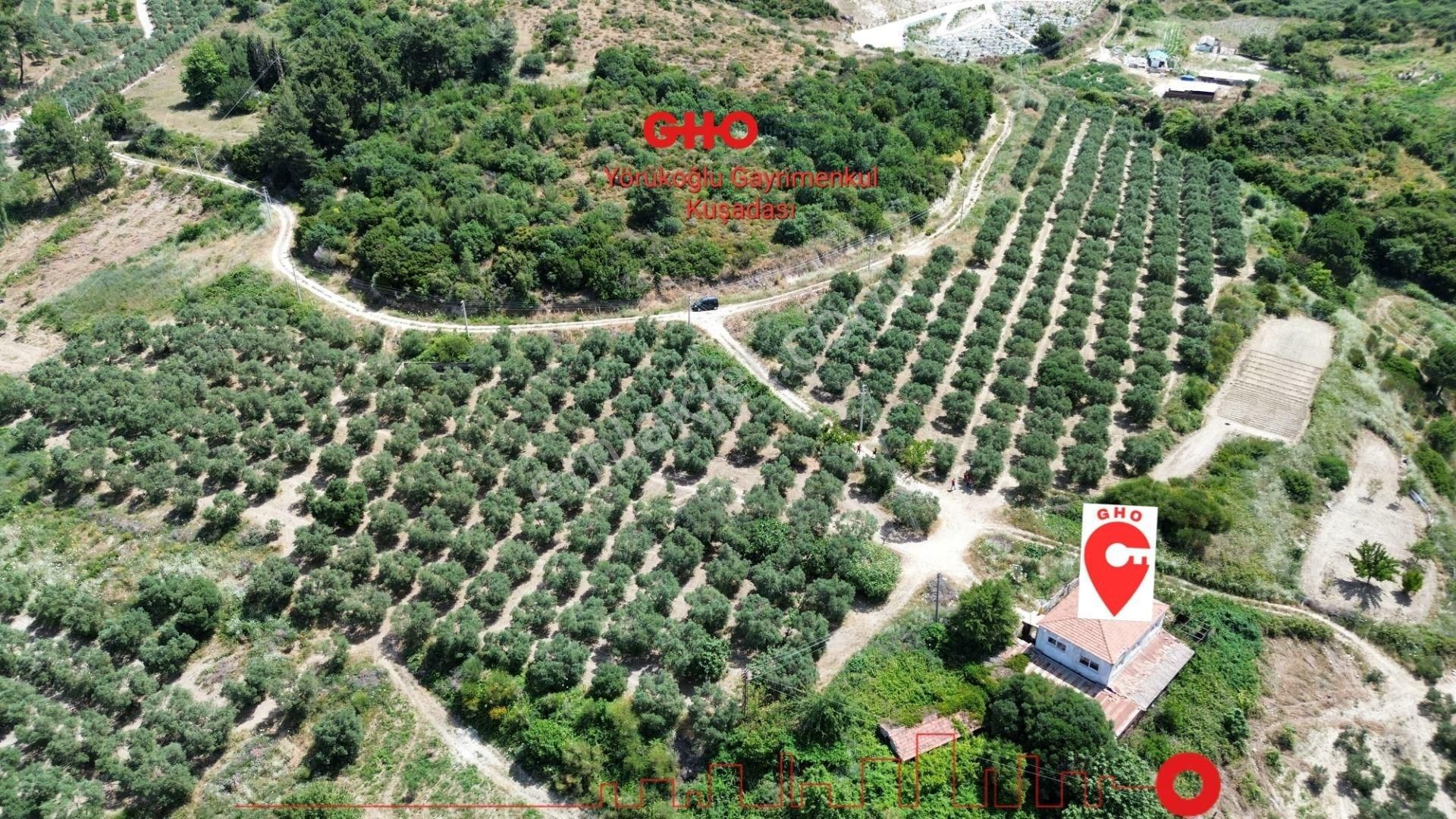 Ağaçlı Köyü Satılık 65 Dönüm İmara Yakın Arazi