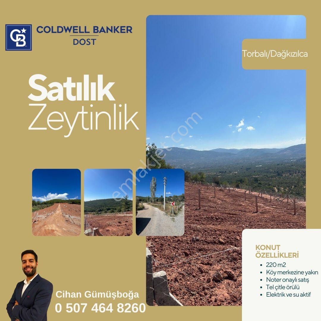 Torbalı Dağkızılca Satılık Zeytinlik Torbalı Dağkızılcada Satılık Zeytinlik