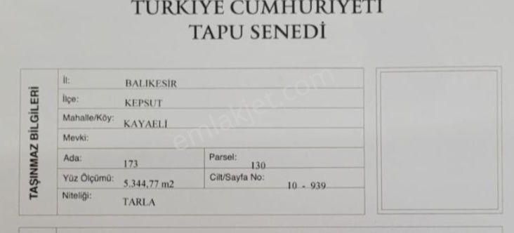 Kepsut Kayaeli Satılık Tarla TEL İLE ÇEVRİLİ TARLAMIZ SATILIKTIR