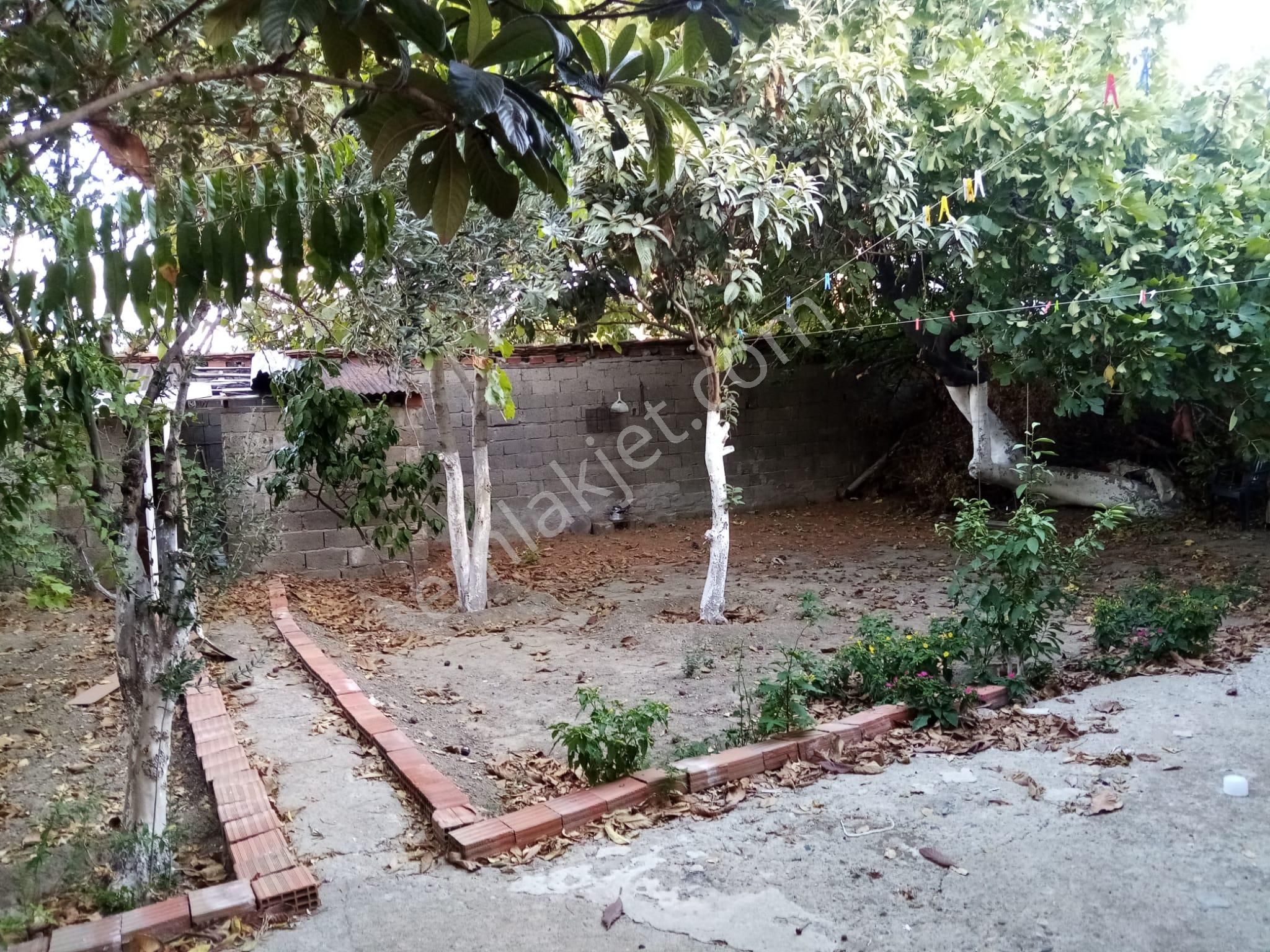 Dünyanın Oksijen Çadırı Edremit'te Bahçeli Müstakil Ev - Görsel 2