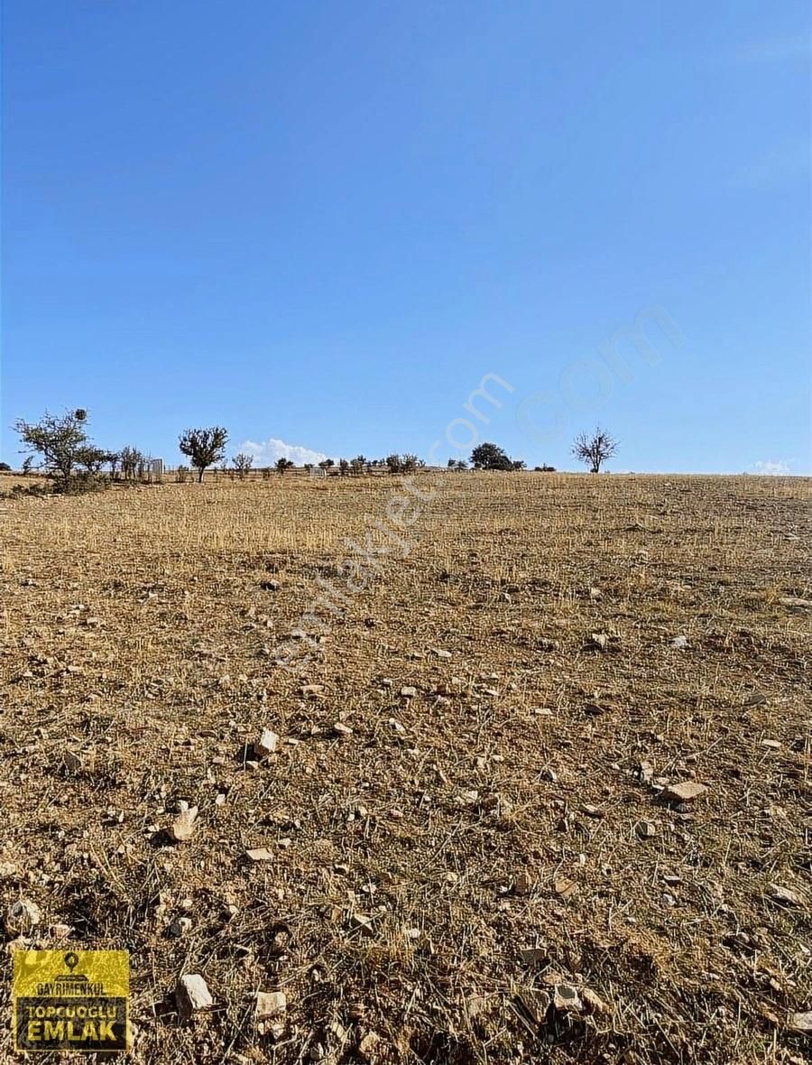 Antalya Korkuteli Büyük Köyde.14500.metre Kare Acil Satılık - Görsel 5