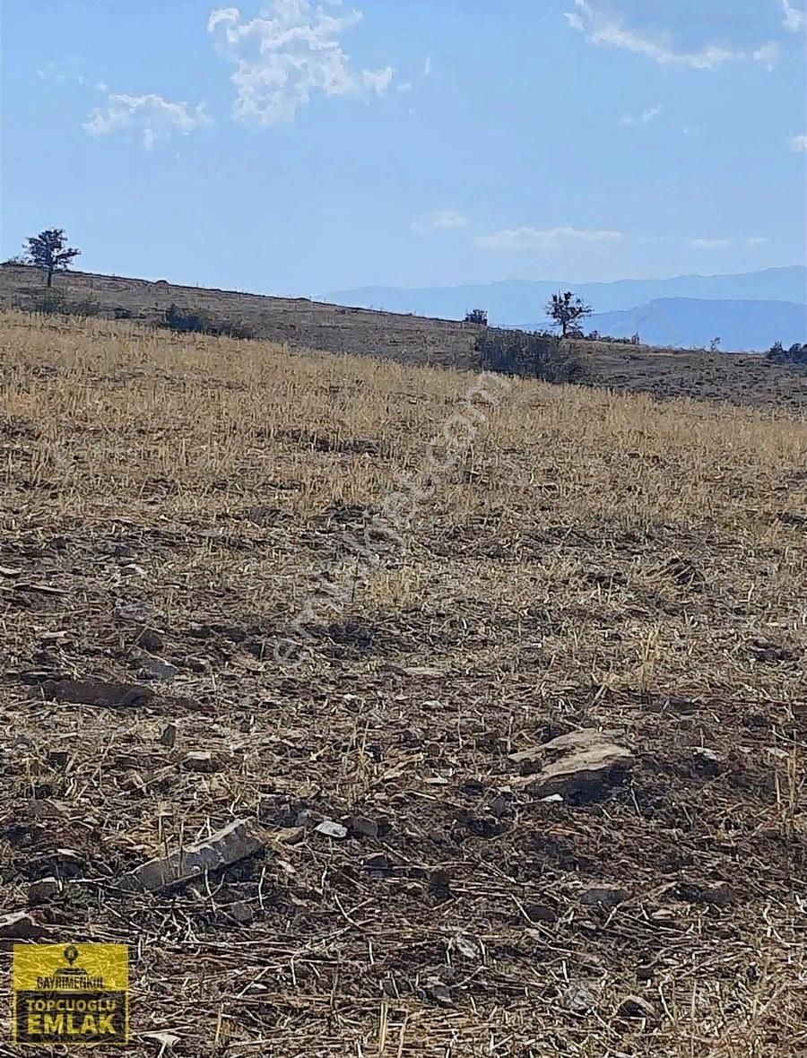Antalya Korkuteli Büyük Köyde.14500.metre Kare Acil Satılık - Görsel 12