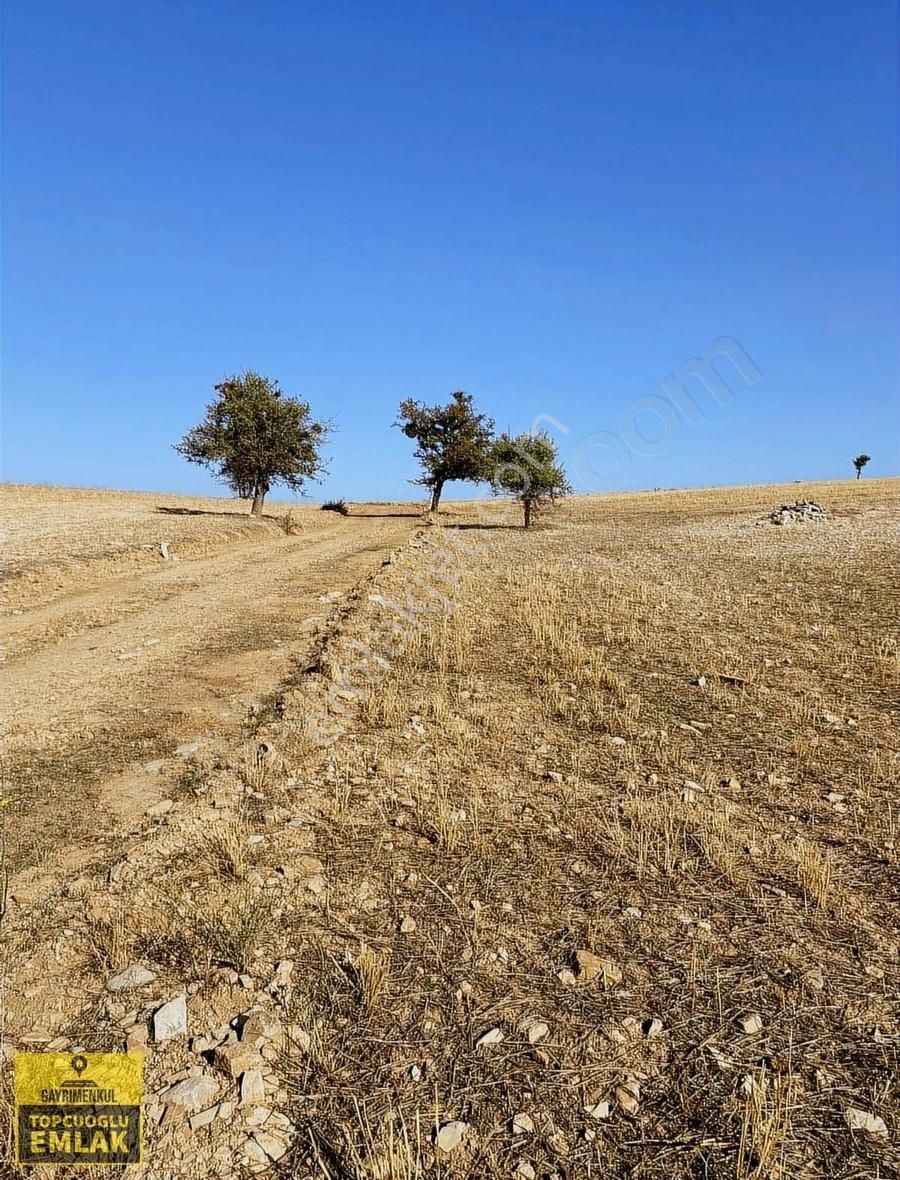 Antalya Korkuteli Büyük Köyde.14500.metre Kare Acil Satılık - Görsel 8