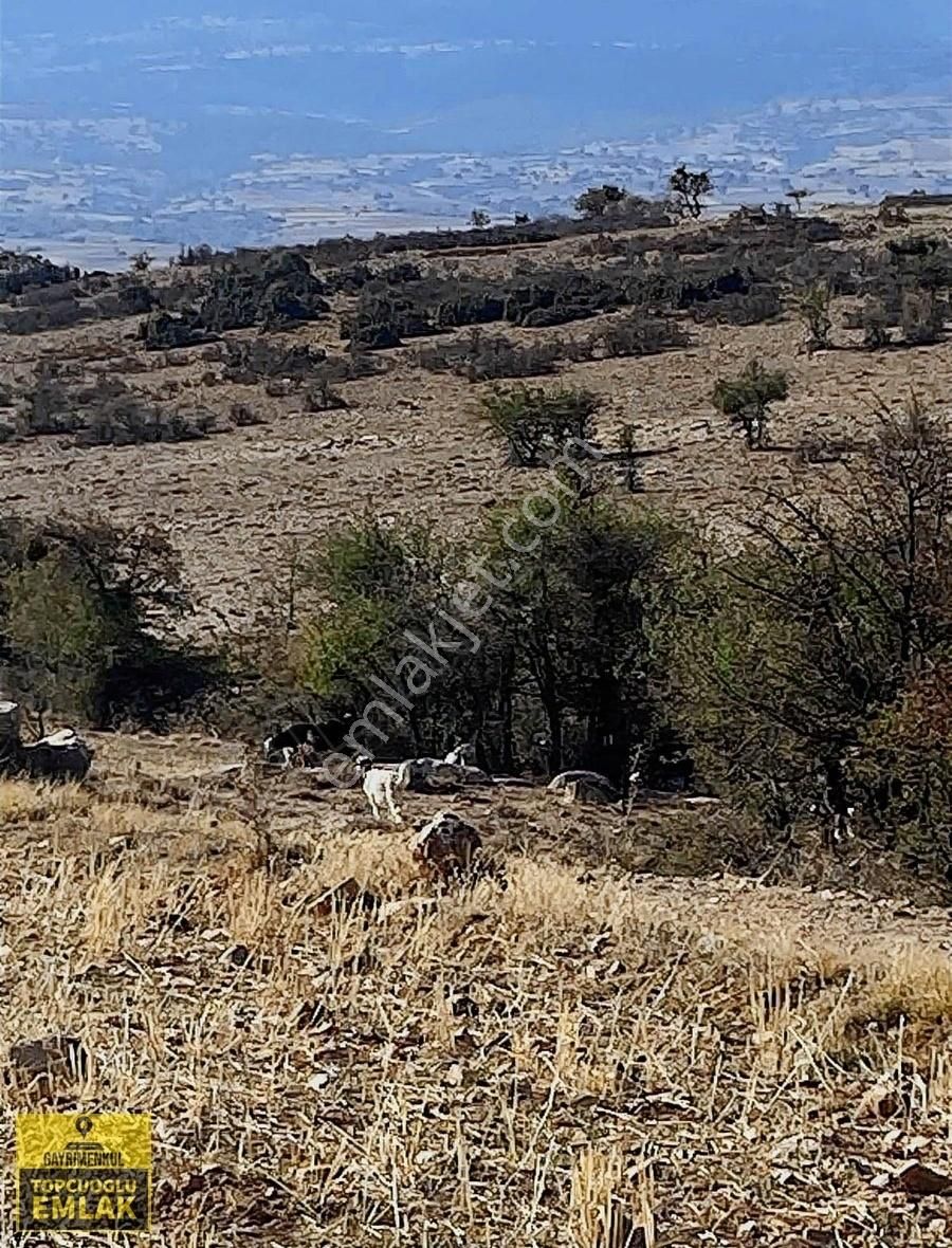 Antalya Korkuteli Büyük Köyde.14500.metre Kare Acil Satılık - Görsel 6