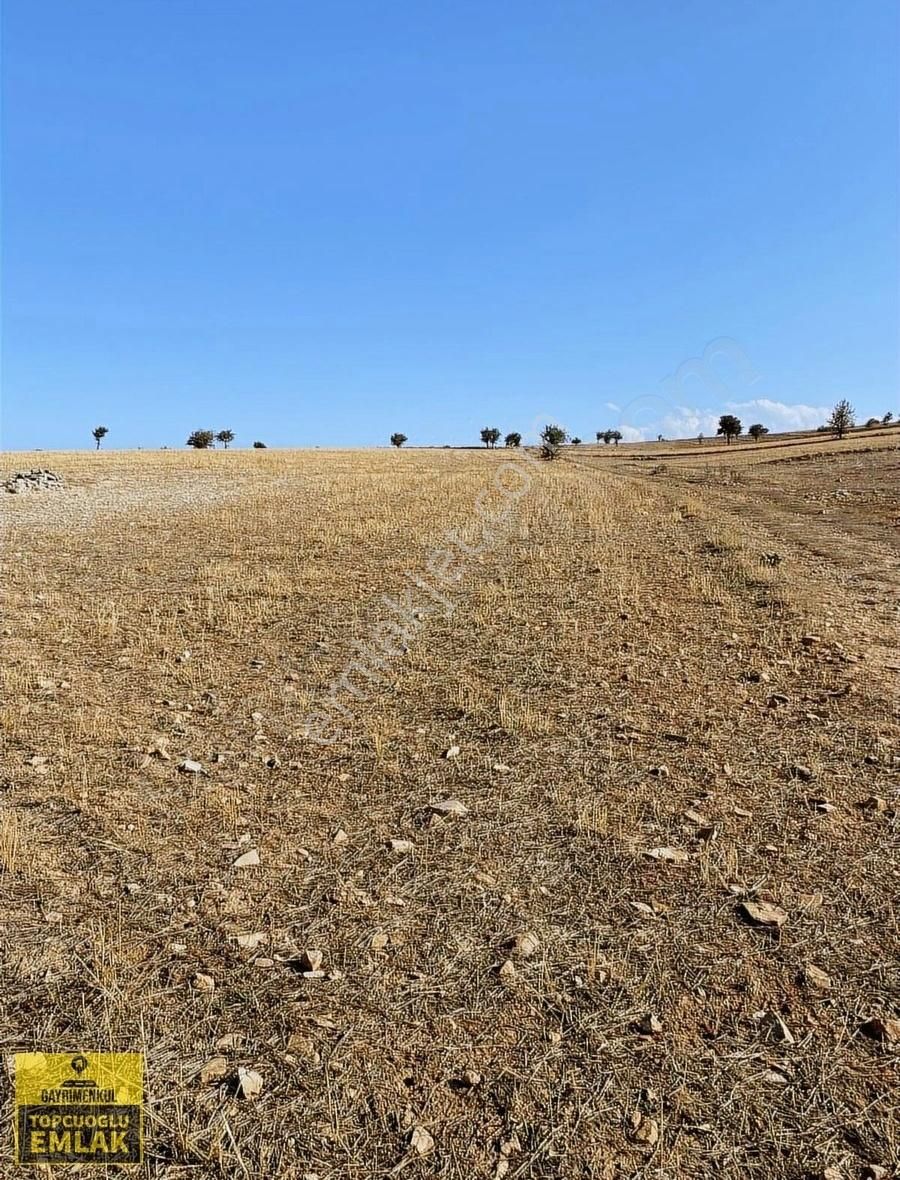 Antalya Korkuteli Büyük Köyde.14500.metre Kare Acil Satılık - Görsel 11