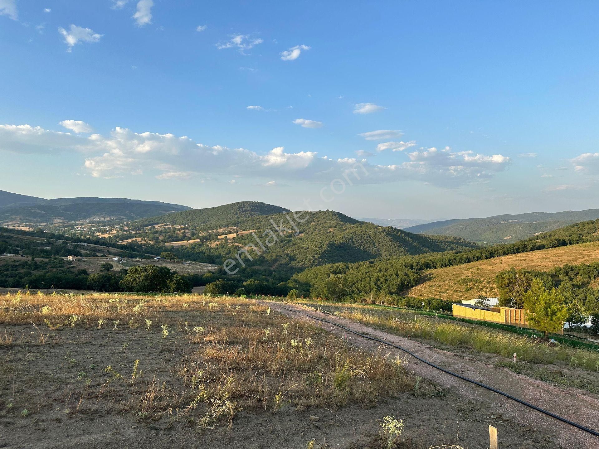 Kestel Kayacık Satılık Arazi Hobi Bahçesi 