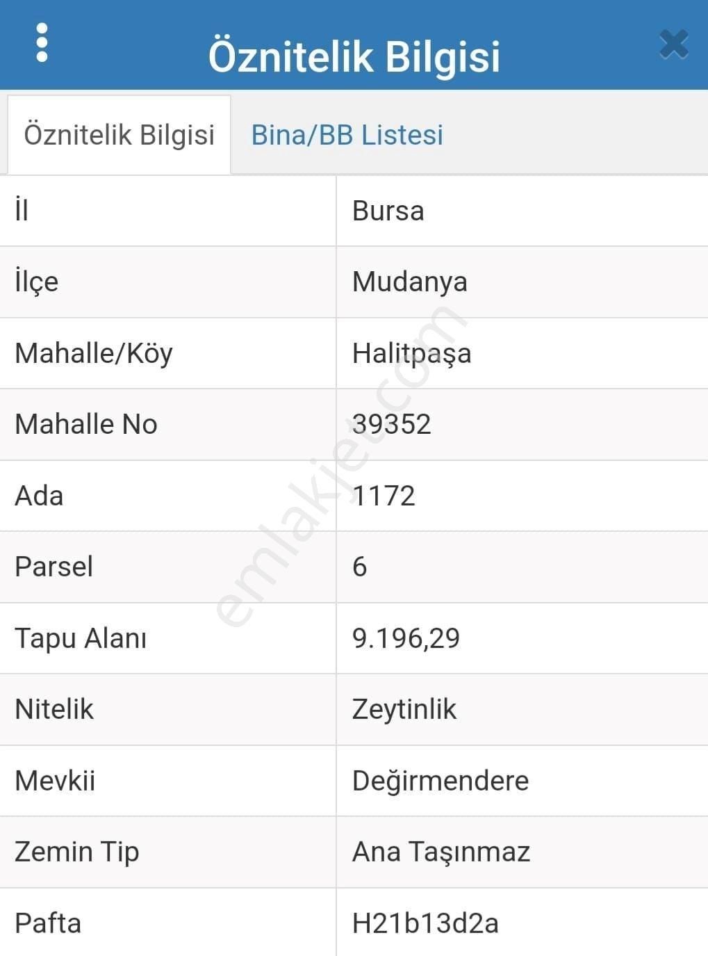 Mudanya Halitpaşa Satılık Zeytinlik MUDANYA HALİTPAŞA İMARA ÇOK YAKIN SATILIK 2500 METREKARE HİSSE