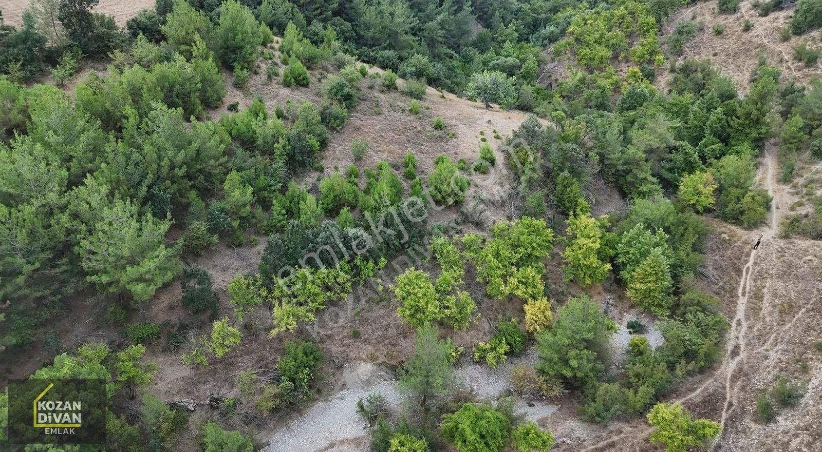 Kozan Akdam Satılık Tarla KOZAN DİVAN EMLAKTAN AKDAM'DA 7 DÖNÜM TARLA