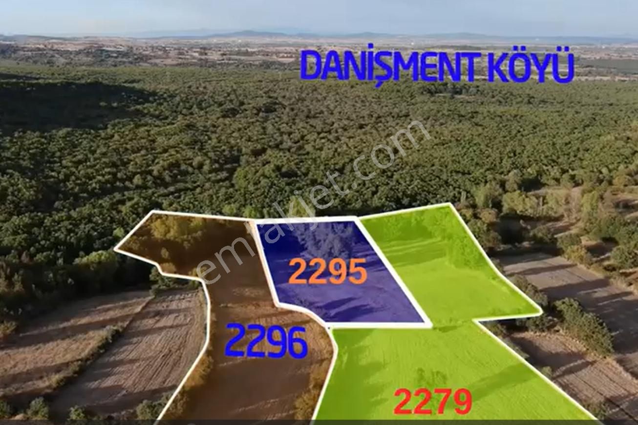 Biga Danişment Köyü Satılık Tarla  ÇANAKKALE BİGA DANIŞMENT KÖYÜ TOPLAM 21.250M2 FIRSAT KUPON TARLA