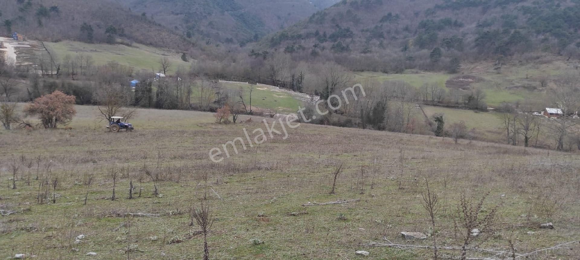 Nilüfer Atlas Satılık Arazi Nilüfer Atlas Köyde Değerini Bilenene Arazi