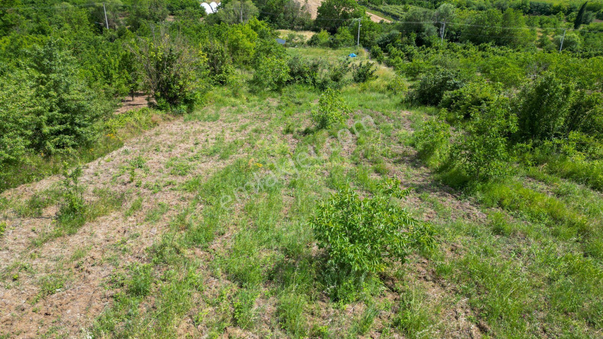 Kocaeli Karamürsel Akçat %5 İmarlı 1955 M2 Satılık Tarla - Görsel 9