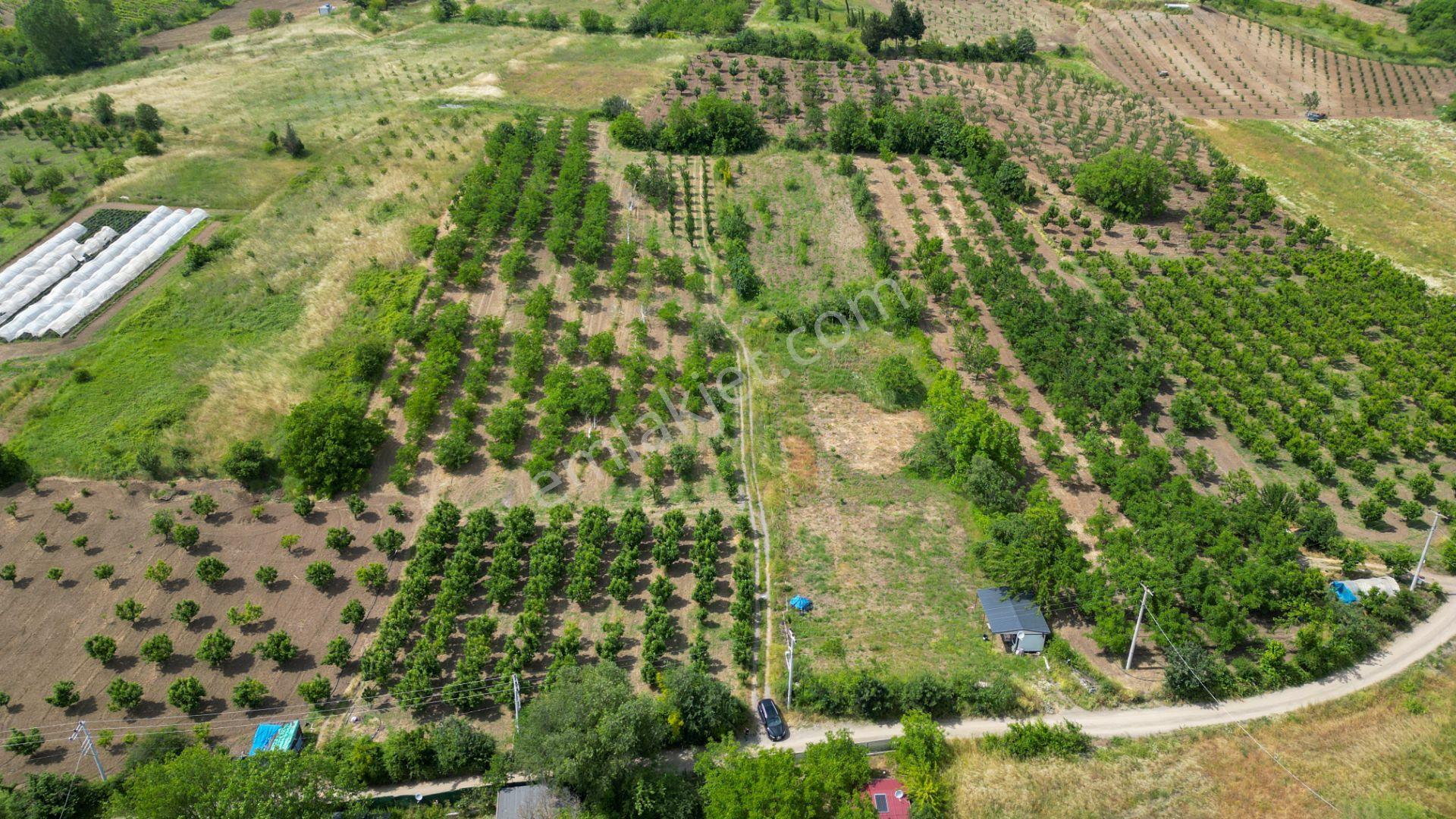Kocaeli Karamürsel Akçat %5 İmarlı 1955 M2 Satılık Tarla - Görsel 15