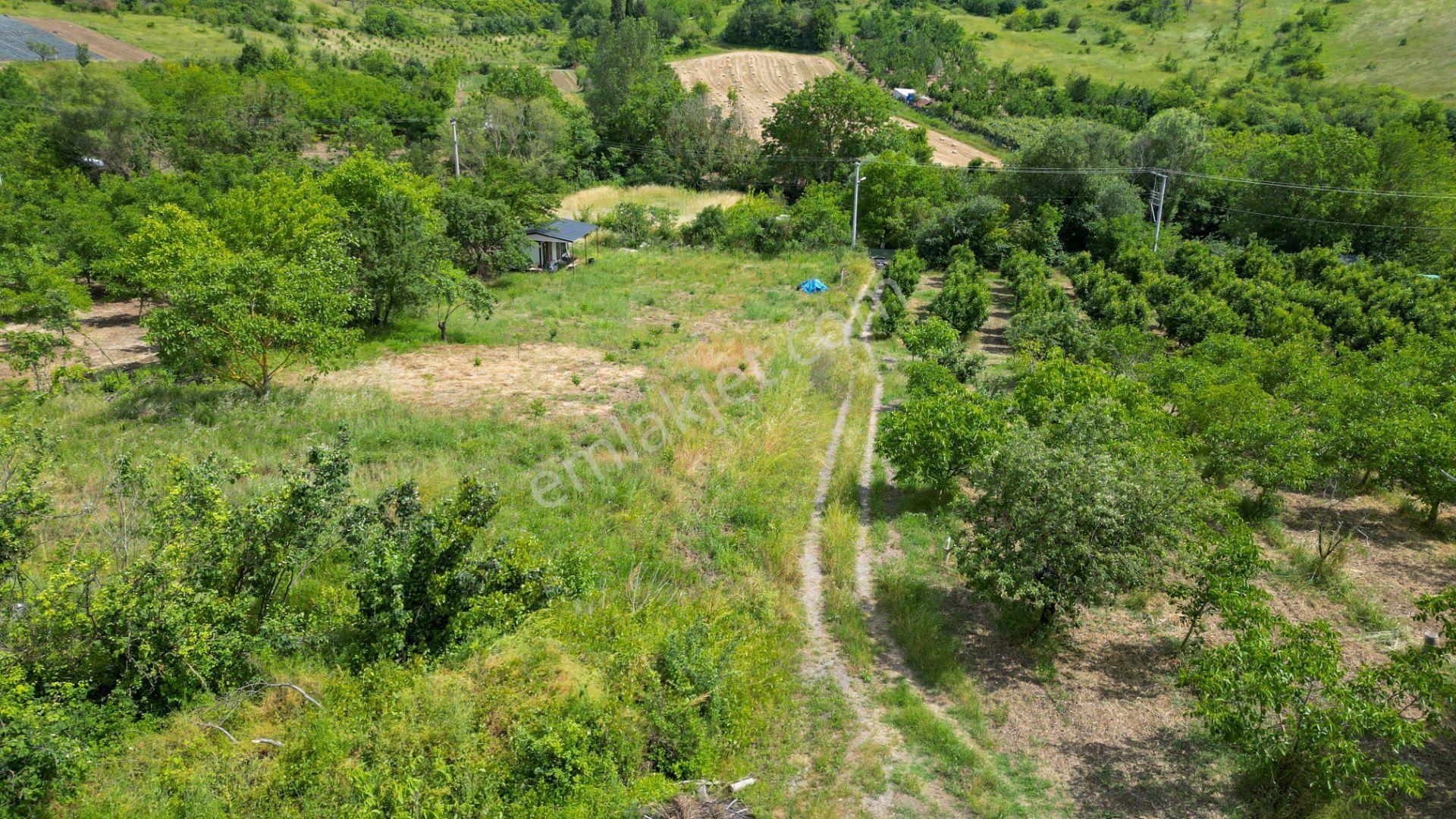 Kocaeli Karamürsel Akçat %5 İmarlı 1955 M2 Satılık Tarla - Görsel 14