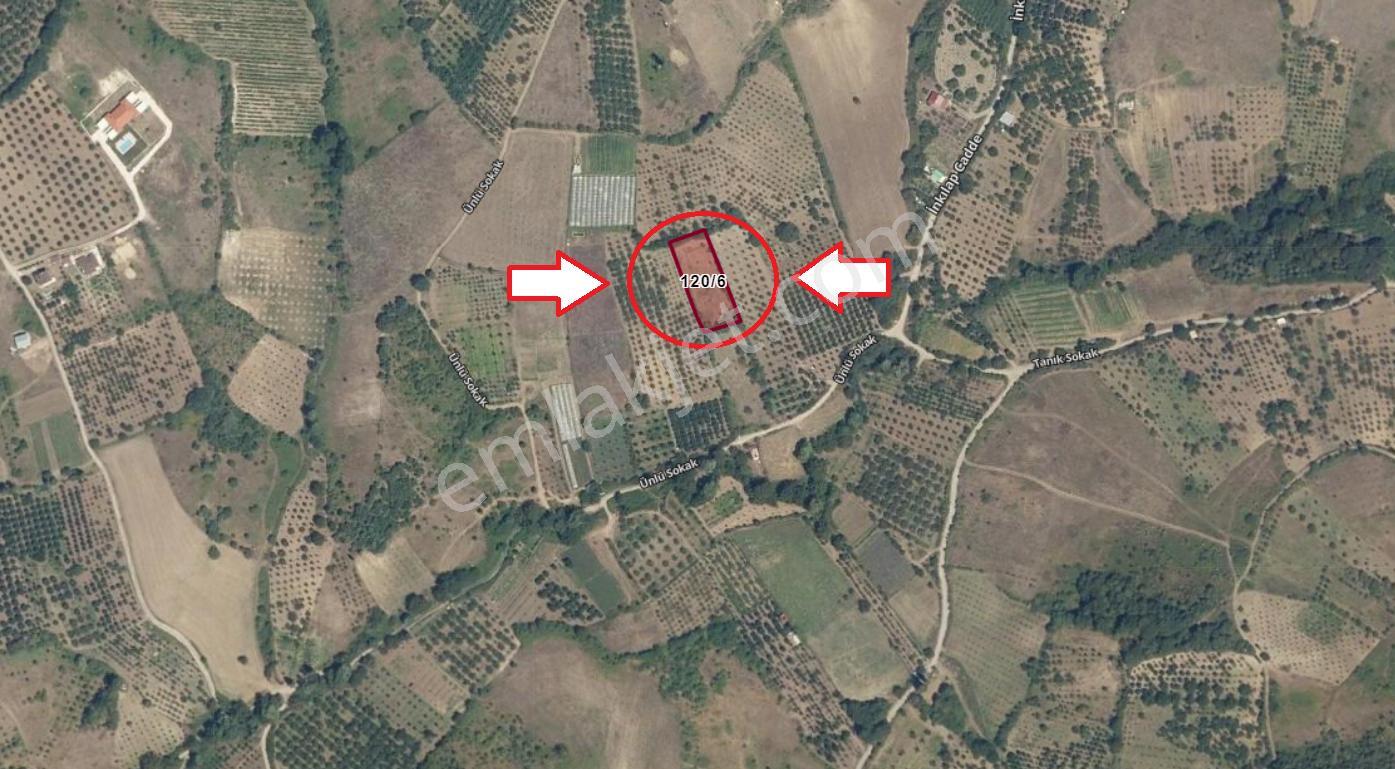 Kocaeli Karamürsel Akçat %5 İmarlı 1955 M2 Satılık Tarla - Görsel 20